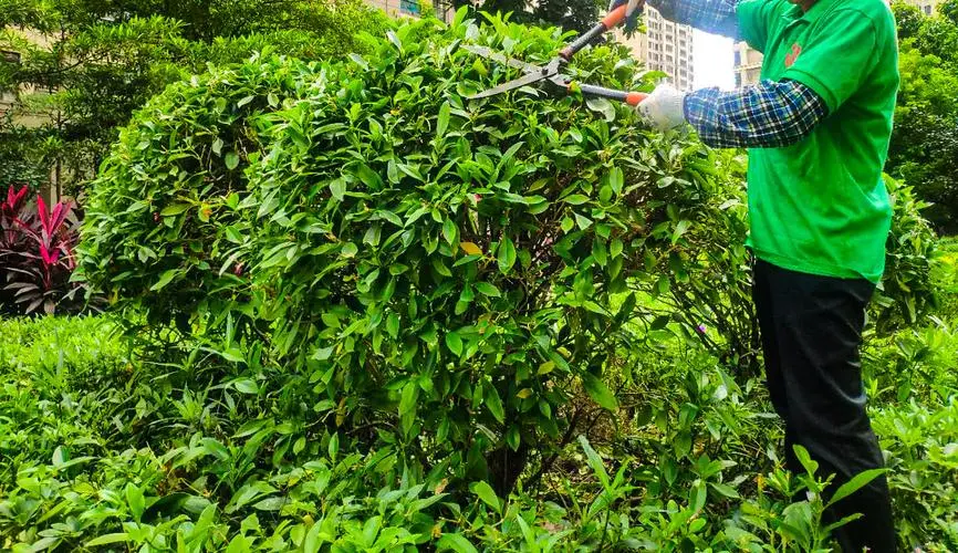 儀征城市綠化護欄規范