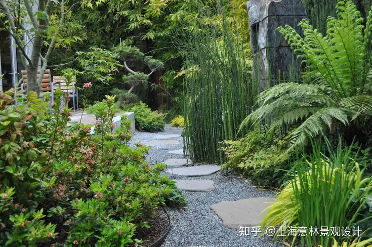 園林管理議題：如何防止植物受到樹木的阻擋？