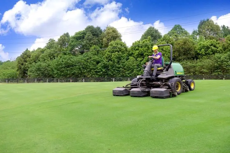 青山區綠色園林綠化工程施工管理