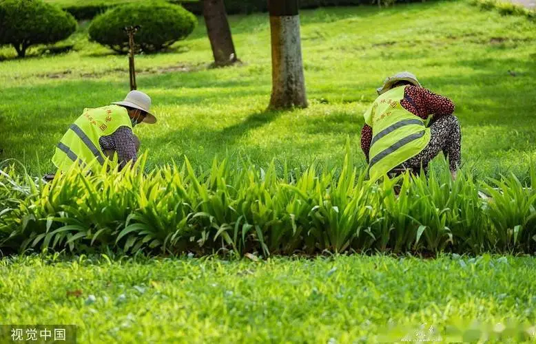 公園簡約綠化工程自制涼亭頂教程
